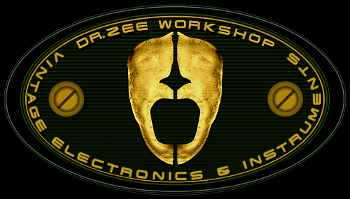 ENTER DR. ZEE WORKSHOP